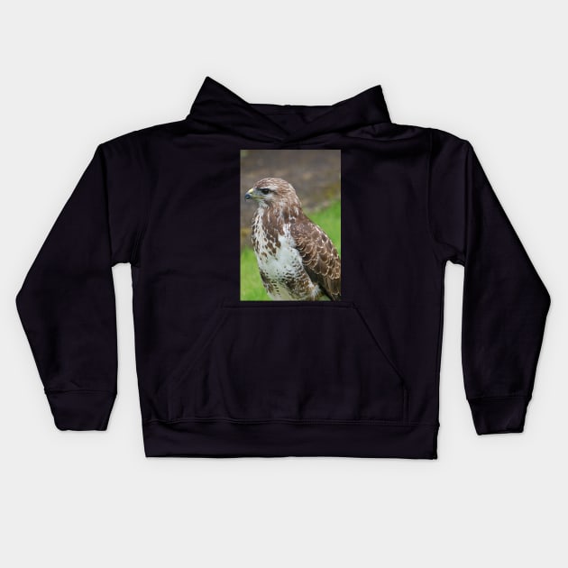 Buzzard Kids Hoodie by declancarr